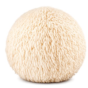 Lion's Mane