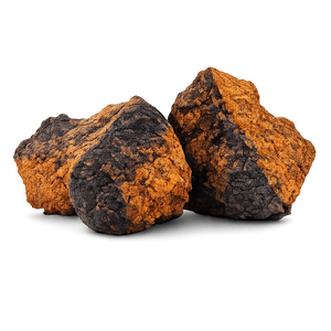 Chaga