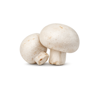 White Button Mushroom